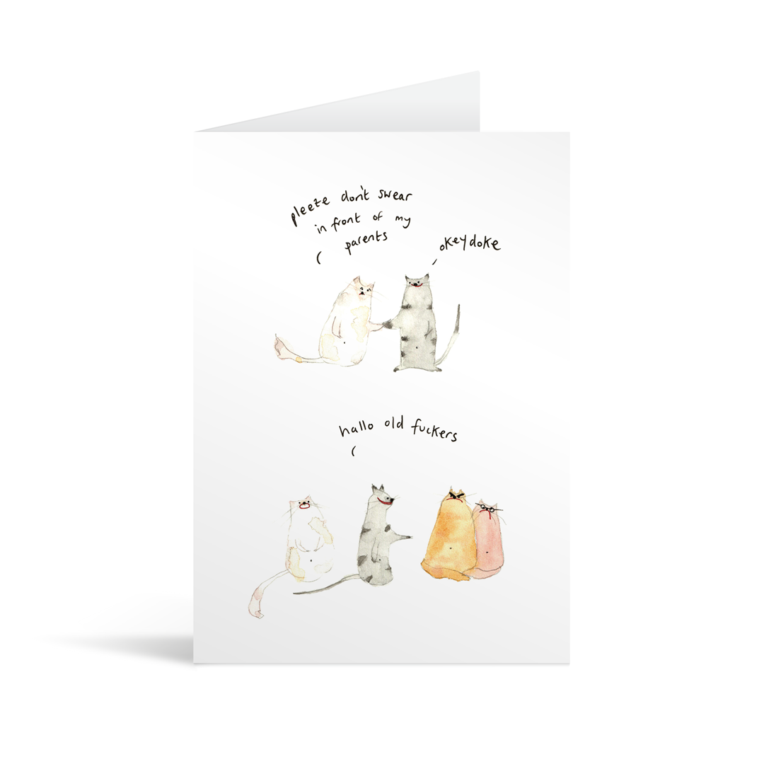 A white rectangular card with a cute hand illustrated watercolour style conversation saying " ' please don’t swear in front of my parents' 'okey doke' 'hallo old fuckers'"