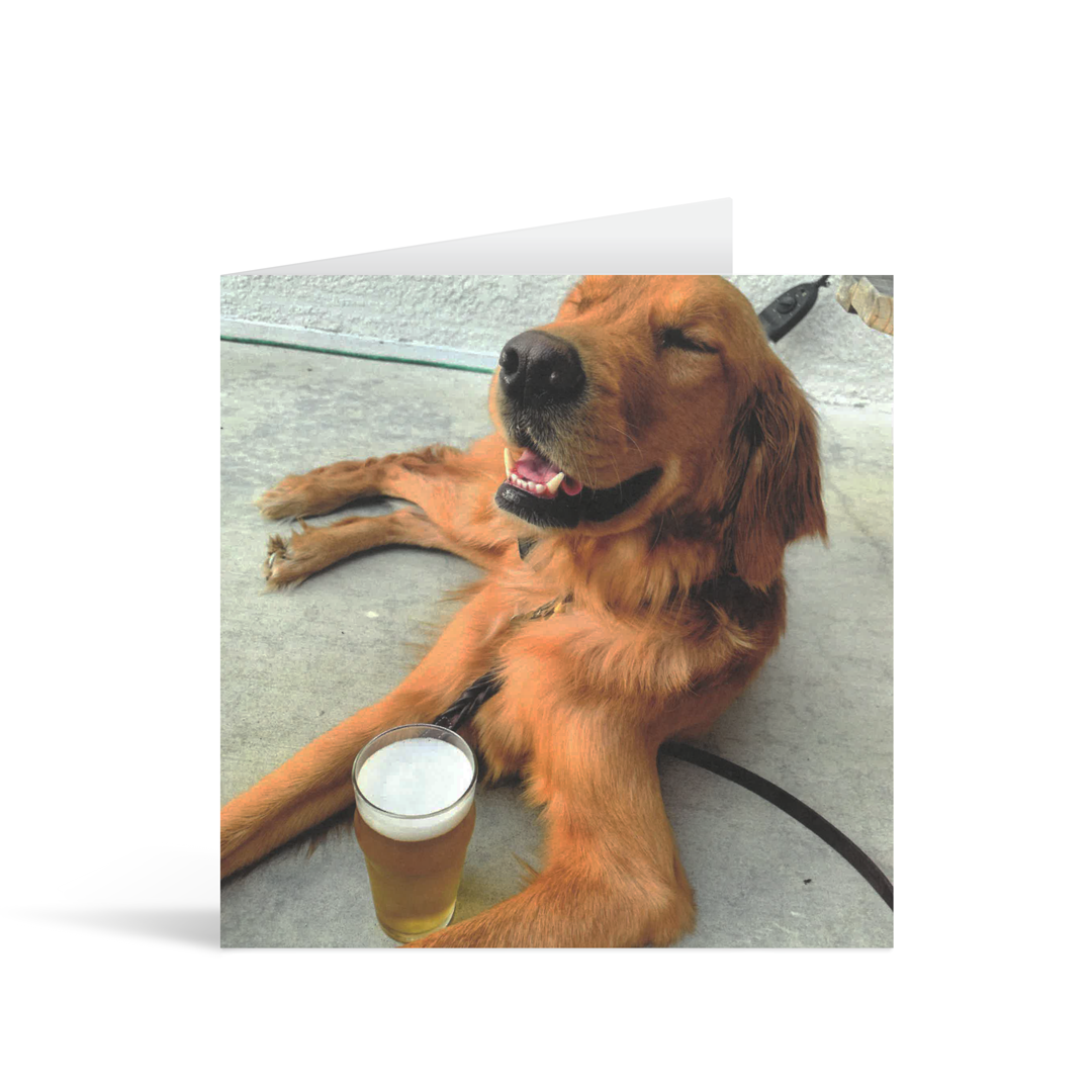 A square photographic card with a cool contemporary image of a golden retriever dog appearing to be holding a pint of lager and smiling contentedly.