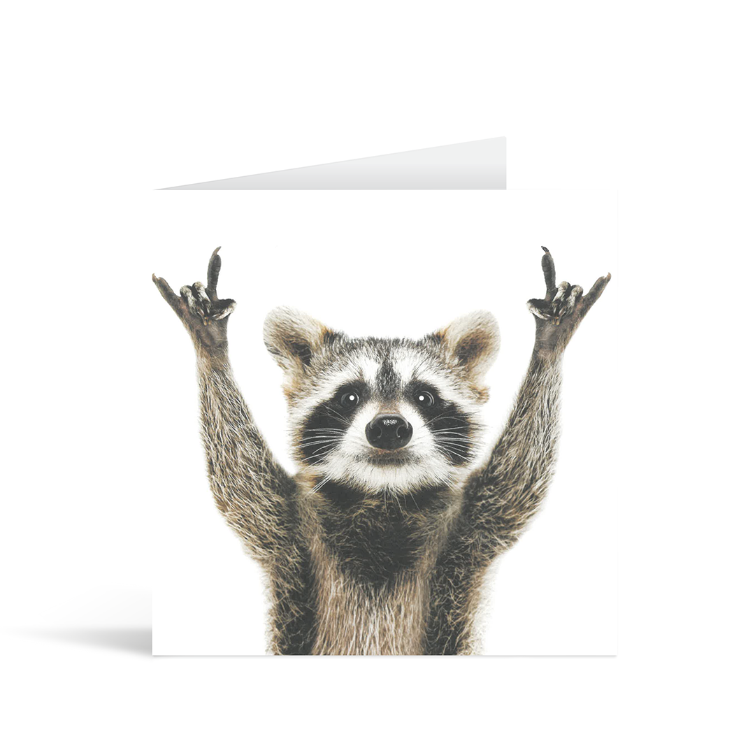 A square photographic card with a cool contemporary image of a racoon making Let's rock gestures with both paws.